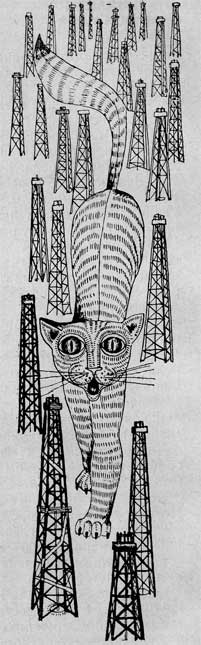 О 'диких кошках'