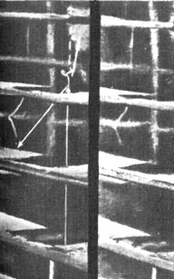 Рис. 76. Явление Комптона по снимку Комптона и Симона